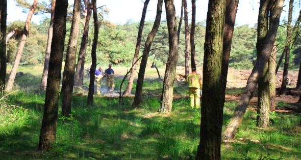 Brand in bos laait weer op