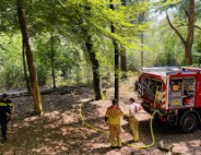 Flinke brand in natuurgebied Birkhoven