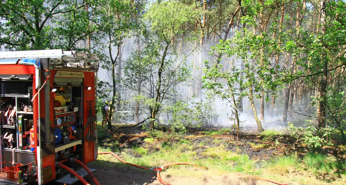 Brandweer bestrijdt hevige brand in natuurgebied