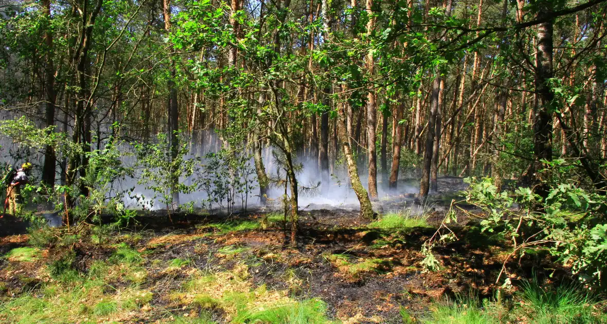 Brandweer bestrijdt hevige brand in natuurgebied - Foto 5