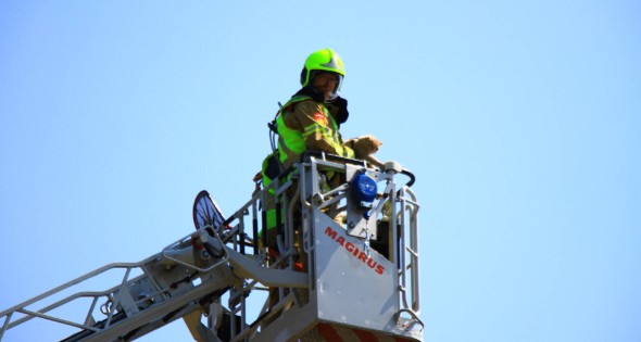 Kat in nood brandweer zet hoogwerker in voor reddingsactie