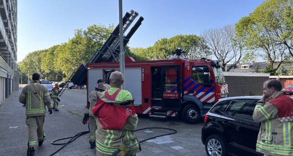 Brand in boom snel onder controle - Afbeelding 4