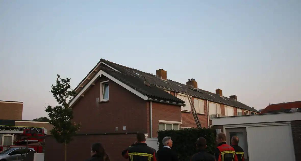 Brandweer ingezet voor gans op dak van schuur - Foto 2