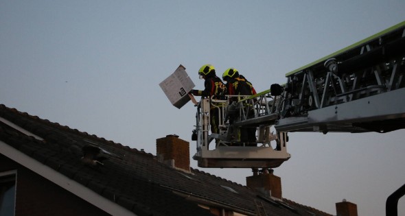 Brandweer ingezet voor gans op dak van schuur