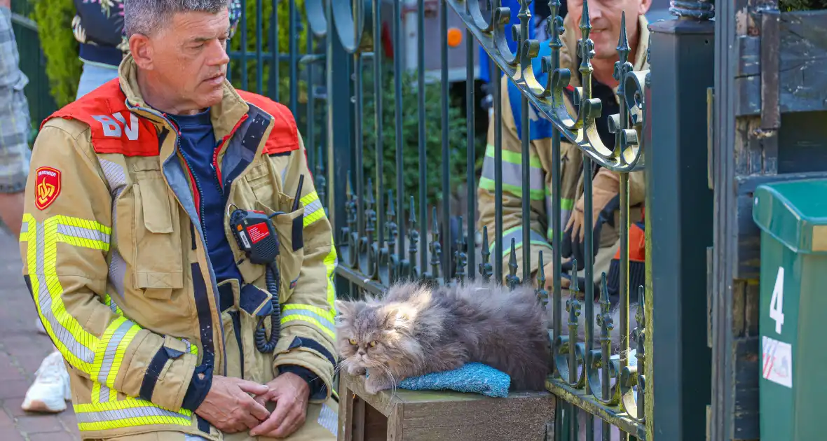 Brandweer bevrijdt kat Gijs uit hek - Foto 1