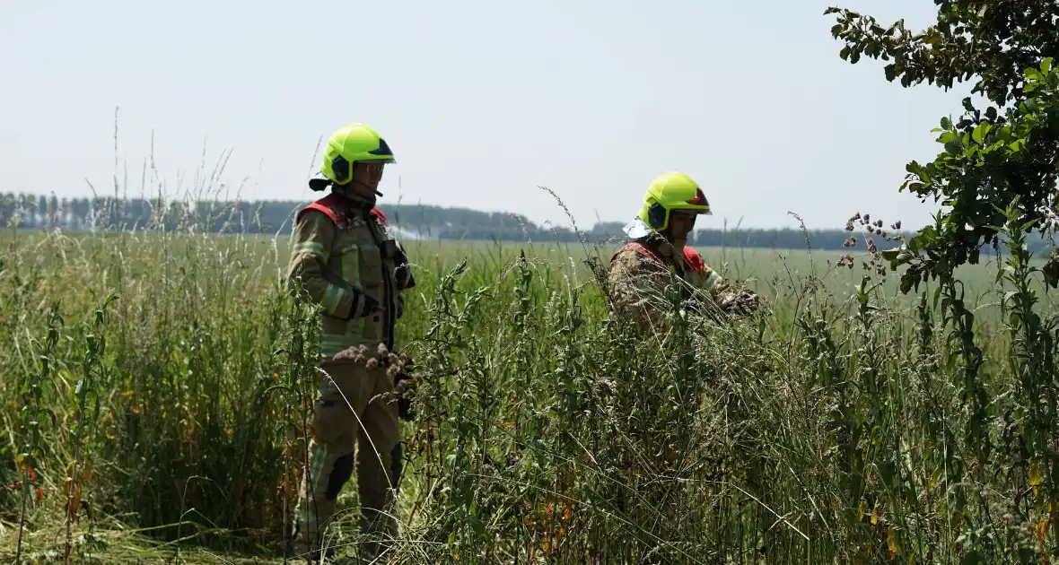 Meters in vlammen opgegaan bij brand in recreatiegebied De Vliegers - Foto 1