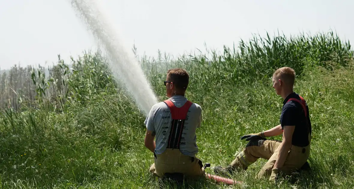 Meters in vlammen opgegaan bij brand in recreatiegebied De Vliegers - Foto 7