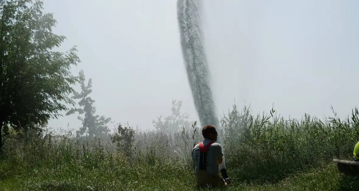 Meters in vlammen opgegaan bij brand in recreatiegebied De Vliegers - Foto 8