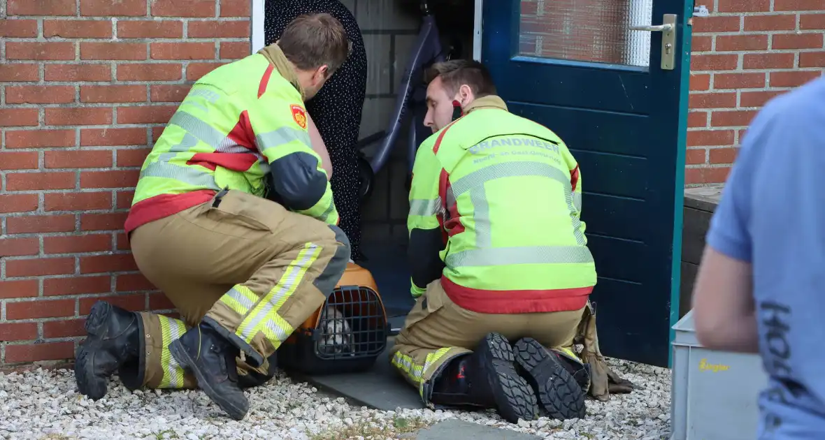 Twee konijnen gered door brandweer bij brand - Foto 7