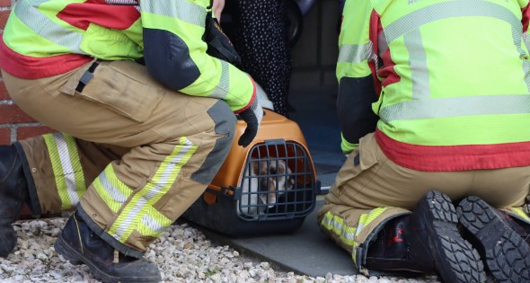 Twee konijnen gered door brandweer bij brand - Afbeelding 8