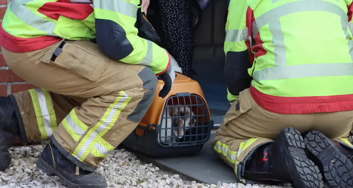 Twee konijnen gered door brandweer bij brand - Foto 8