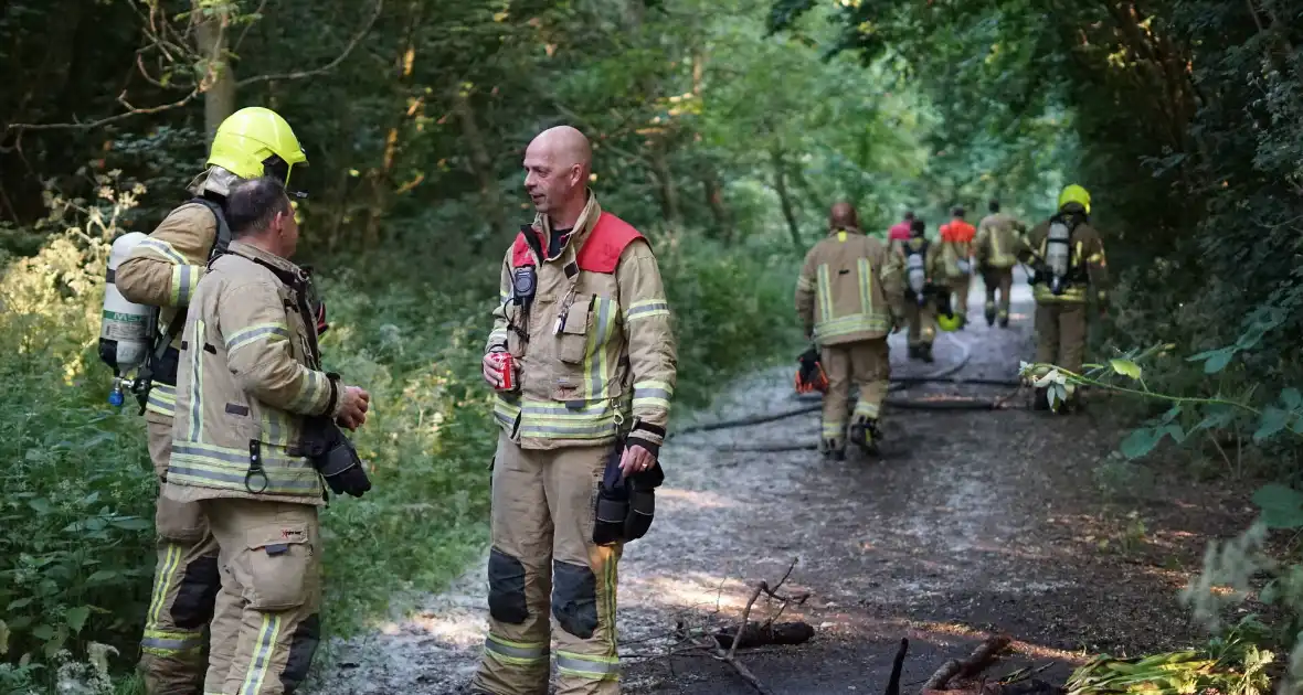 Meerdere branden in bosgebied