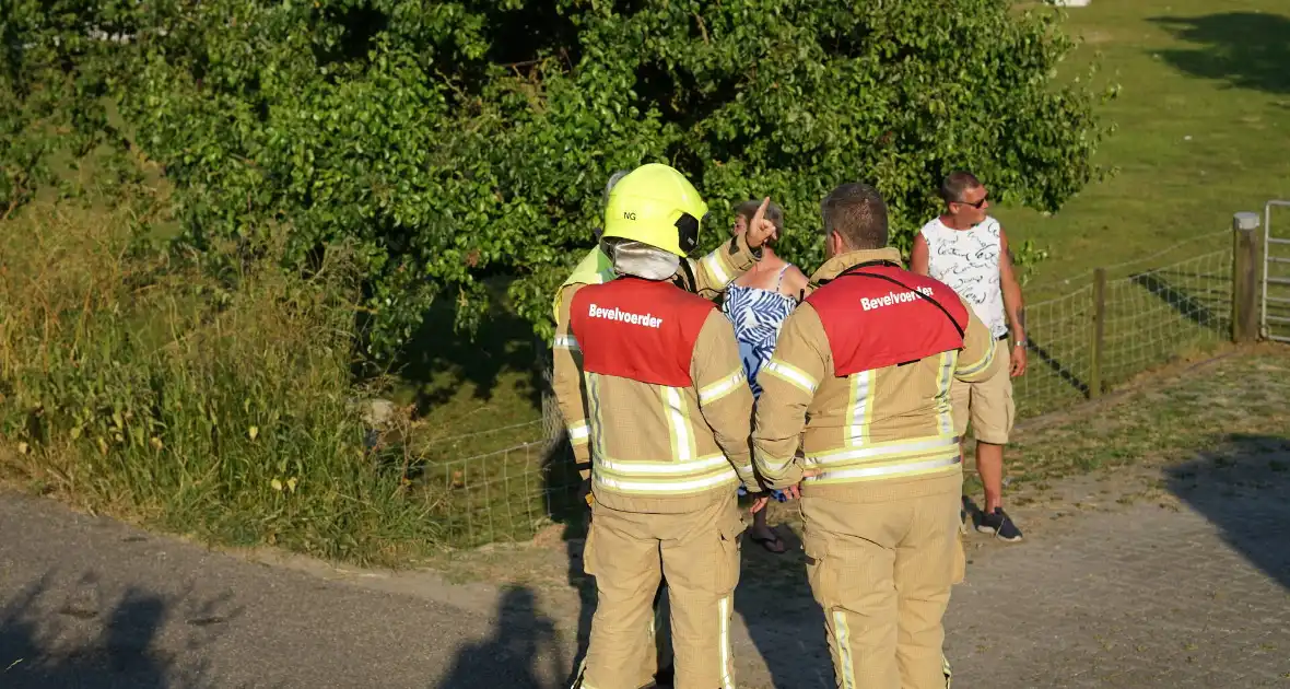 Meerdere branden in bosgebied - Foto 2