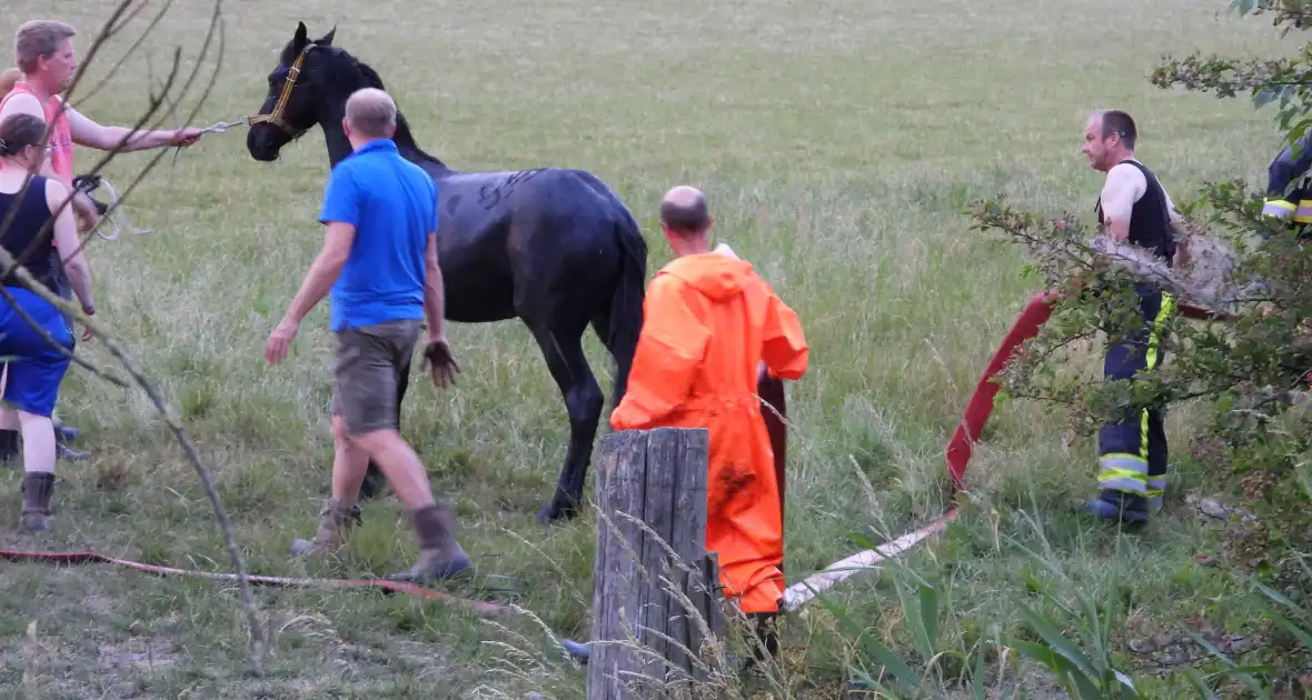 Brandweer ingezet voor paard in een sloot