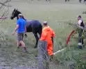 Brandweer ingezet voor paard in een sloot