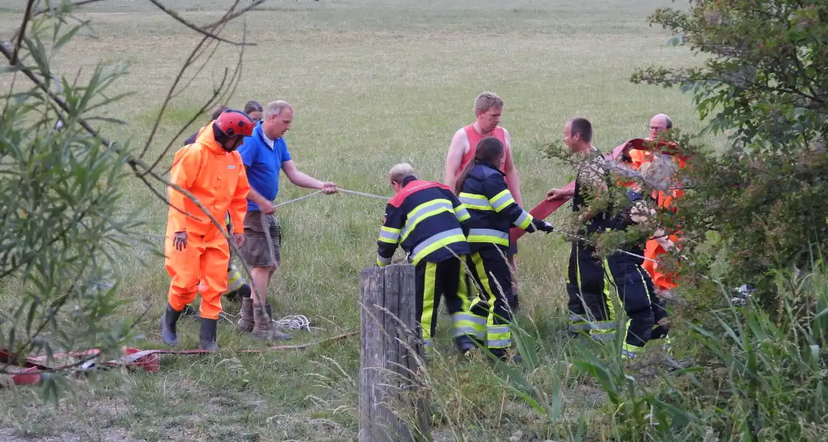 Brandweer ingezet voor paard in een sloot - Foto 1