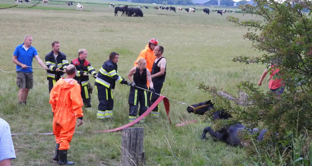 Brandweer ingezet voor paard in een sloot - Foto 3