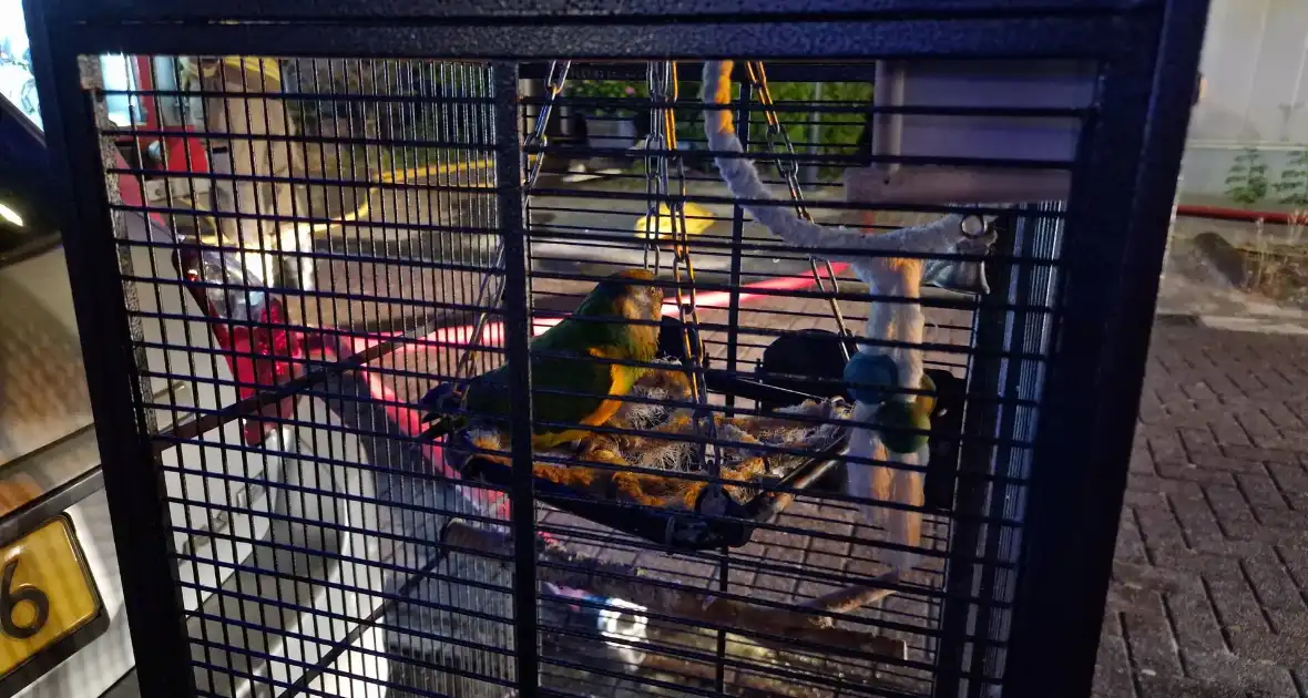 Buurman ontdekt brand in woning - Foto 5