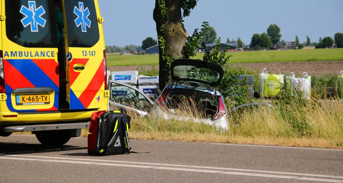 Automobilist frontaal in botsing met boom - Foto 1