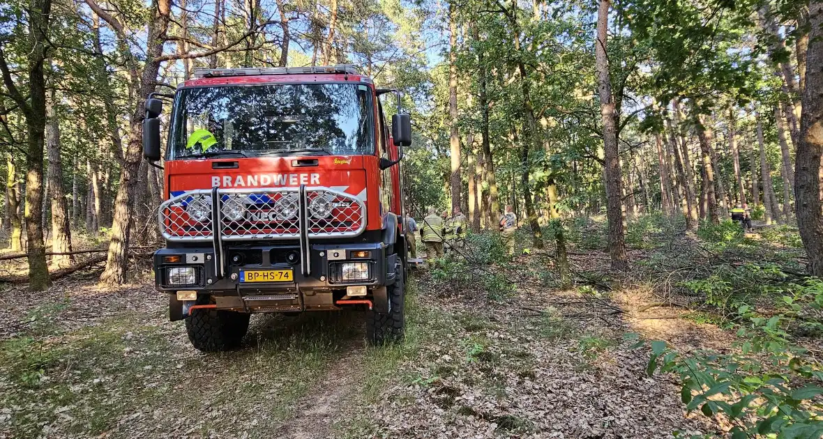 Opnieuw brand in bosgebied - Foto 1