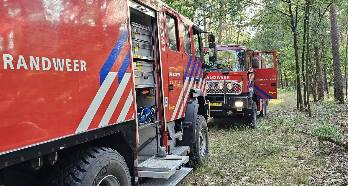 Opnieuw brand in bosgebied - Foto 2