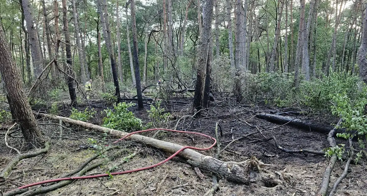 Opnieuw brand in bosgebied - Foto 6