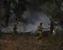 Meters bos in brand