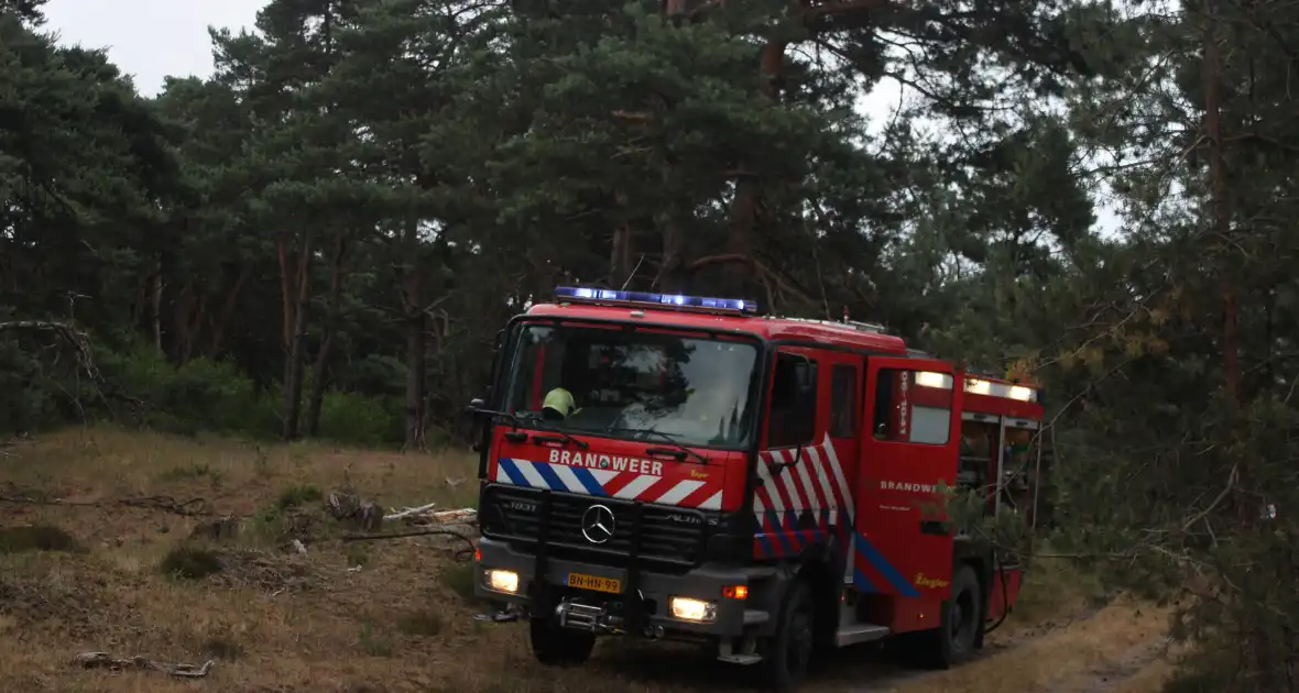 Meters bos in brand - Foto 11