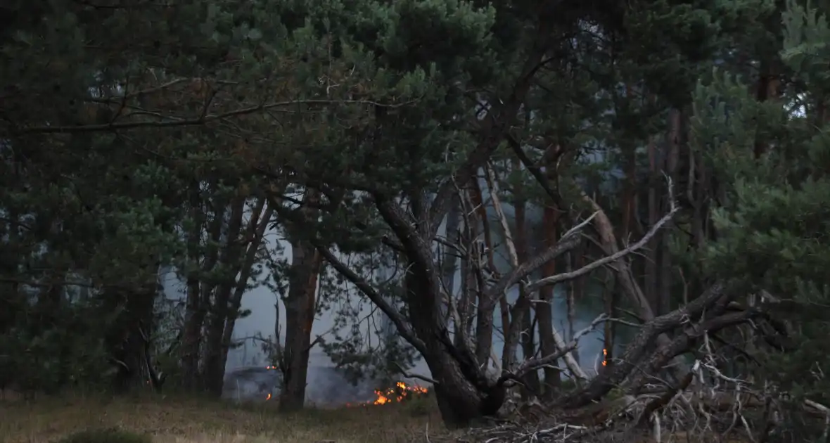 Meters bos in brand - Foto 13