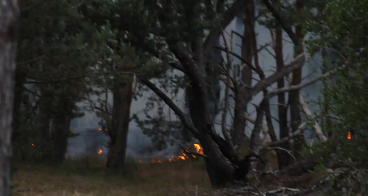 Meters bos in brand - Foto 14