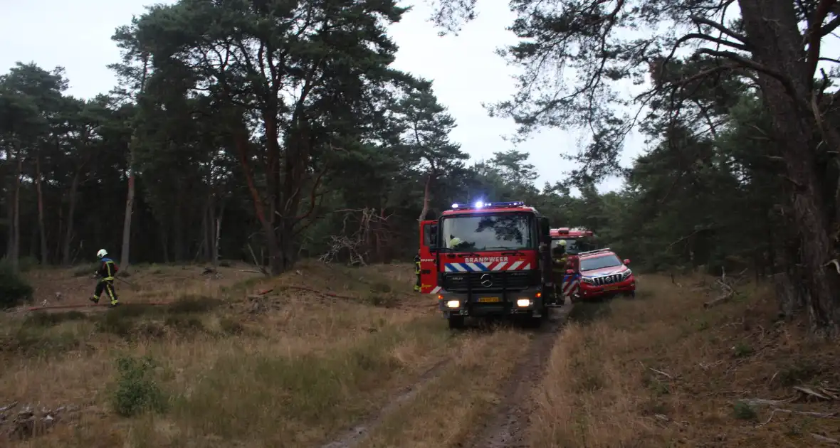 Meters bos in brand - Foto 17