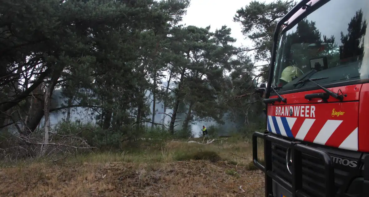 Meters bos in brand - Foto 18