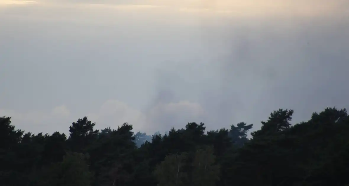 Meters bos in brand - Foto 2