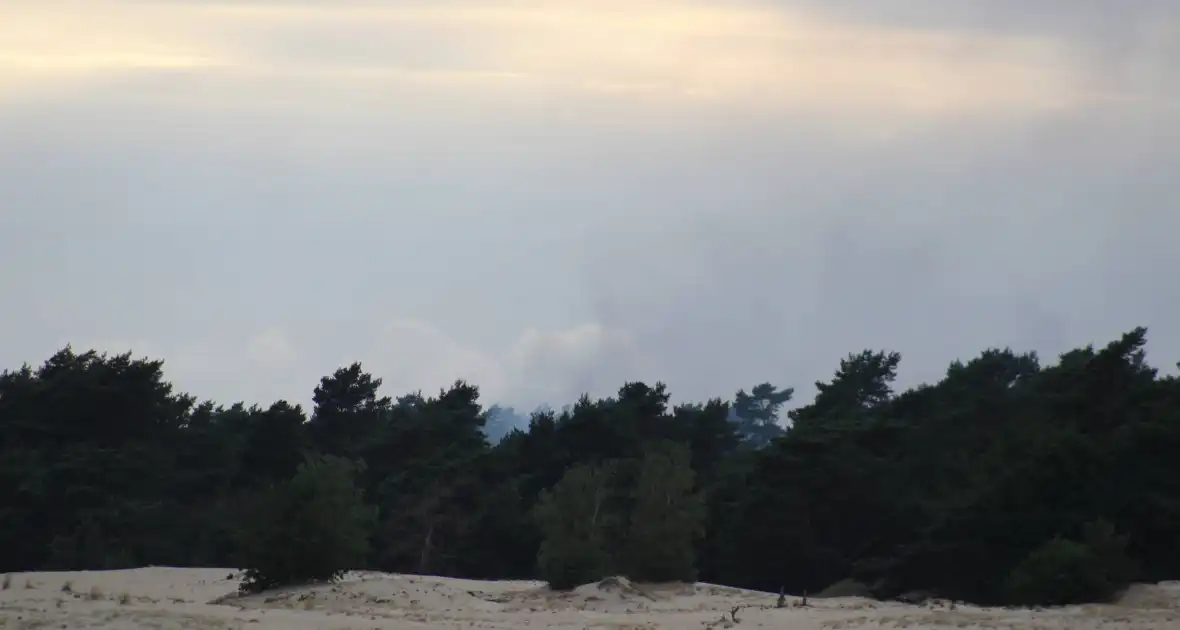 Meters bos in brand - Foto 3