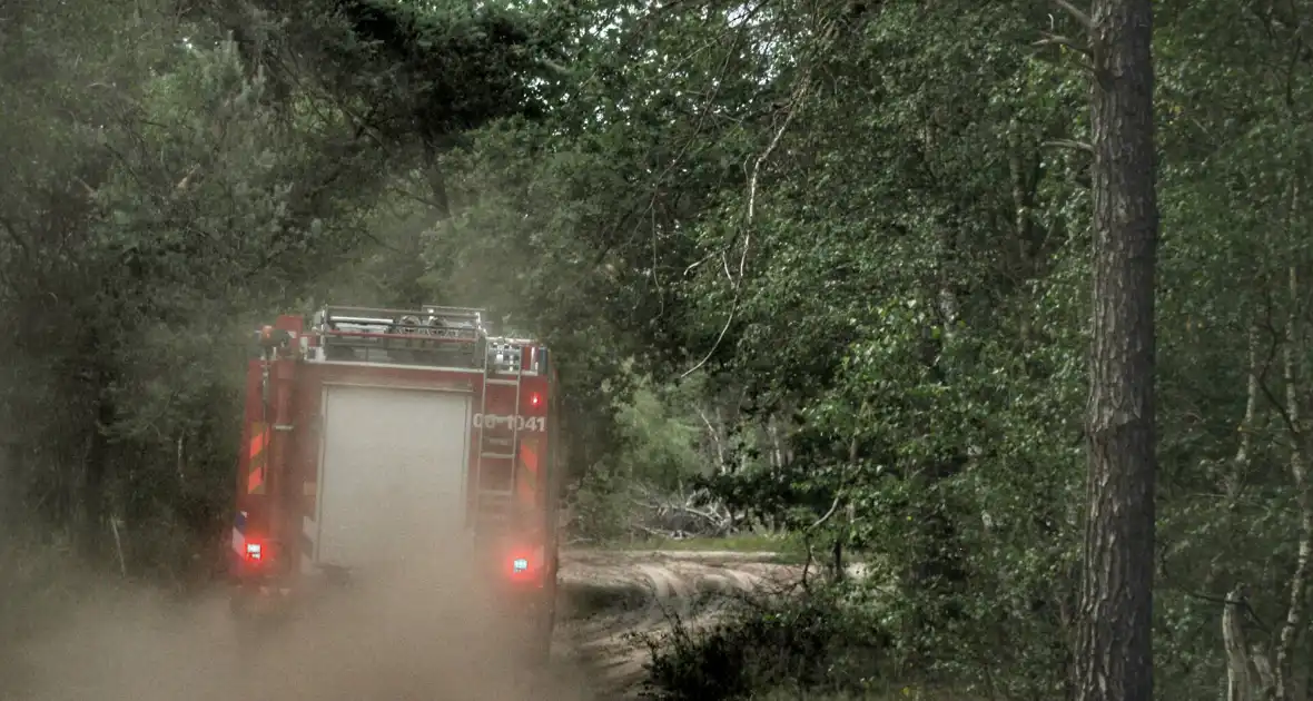 Meters bos in brand - Foto 4