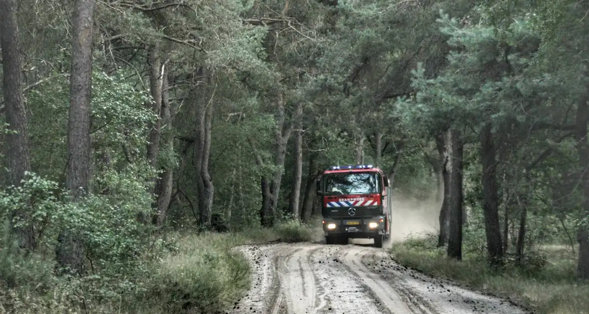 Meters bos in brand - Foto 5