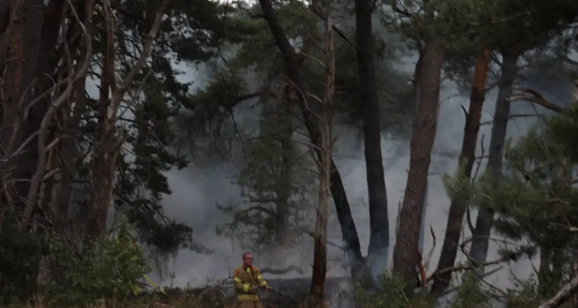 Meters bos in brand - Foto 7
