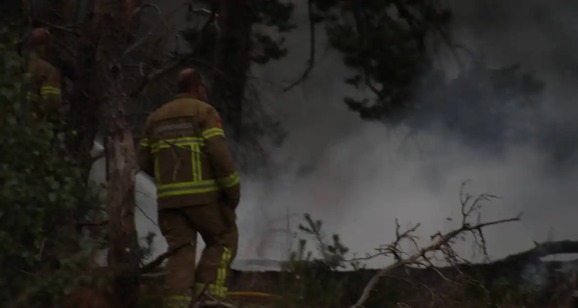 Meters bos in brand - Foto 8