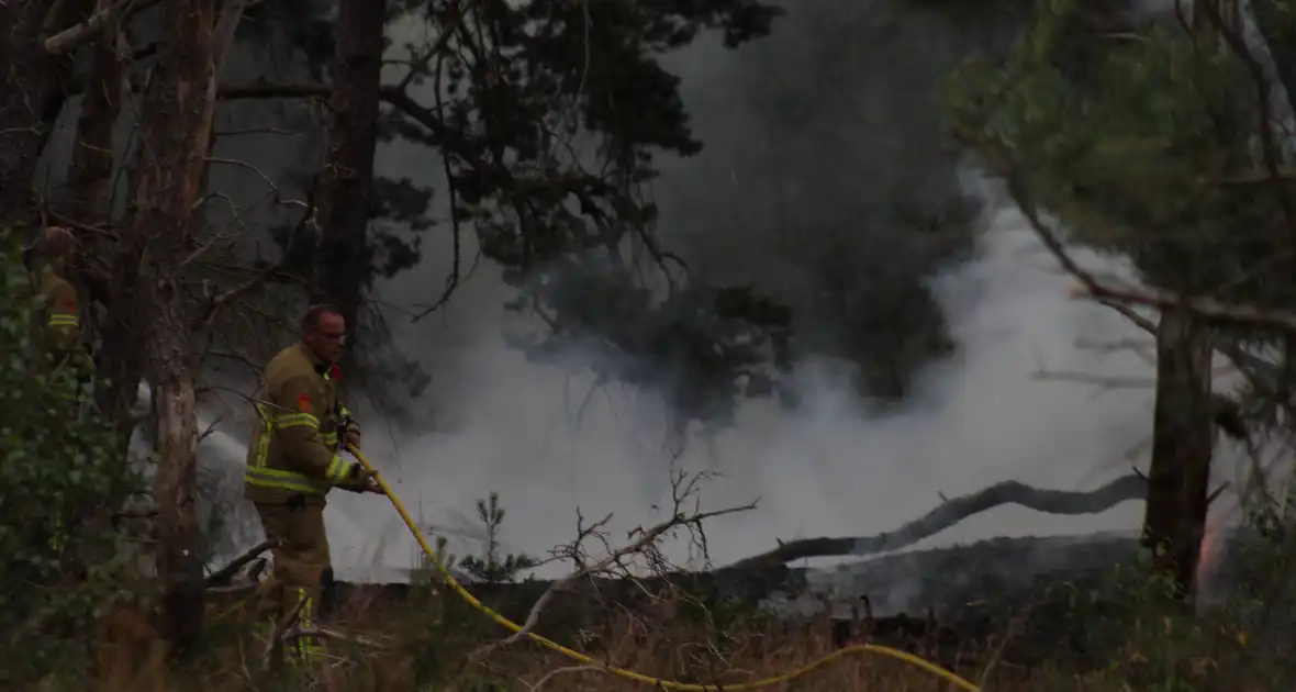Meters bos in brand - Foto 9