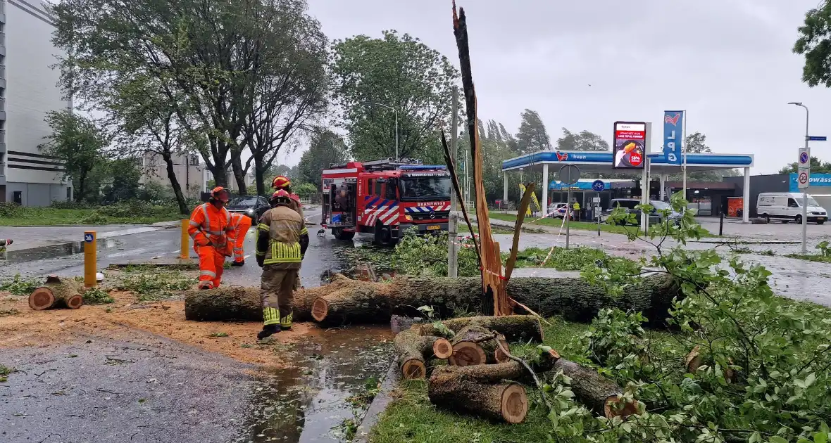 Meerdere bomen omgewaaid door storm - Foto 1