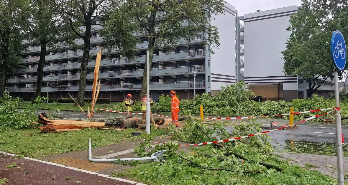 Meerdere bomen omgewaaid door storm - Foto 2