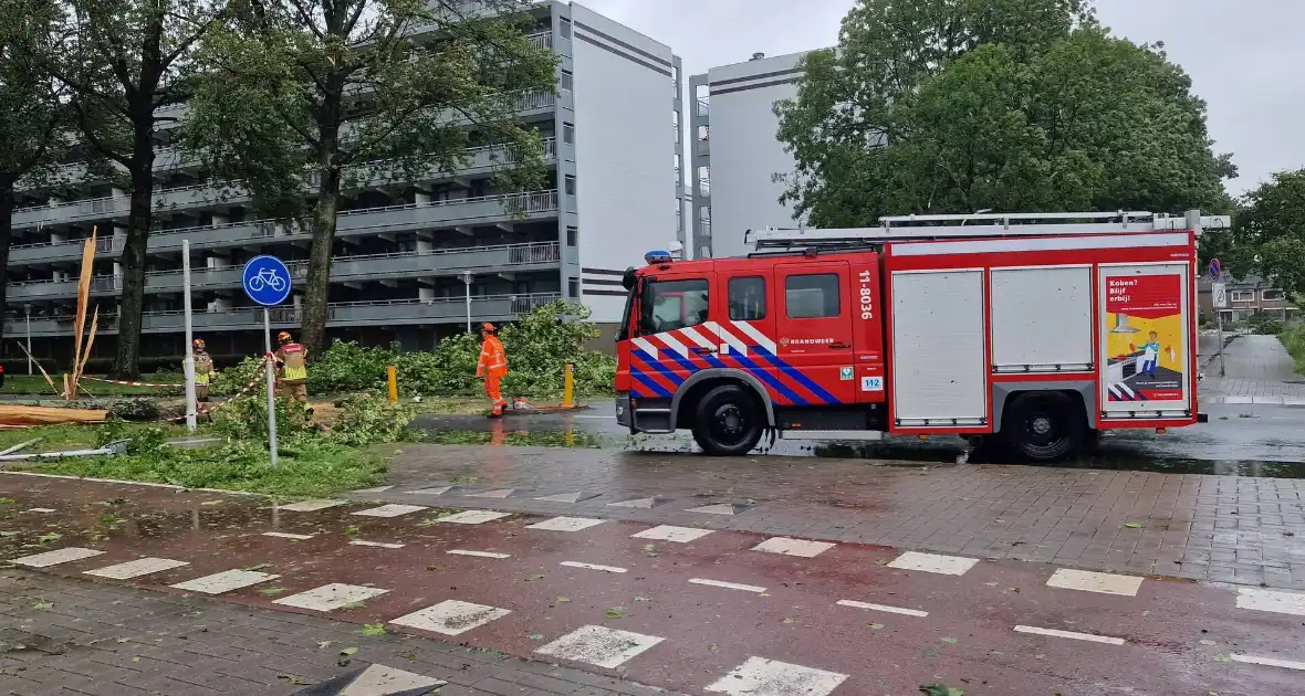 Meerdere bomen omgewaaid door storm - Foto 3