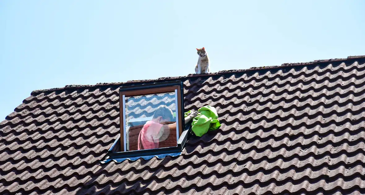 Brandweer probeert kat van dak te halen - Foto 2