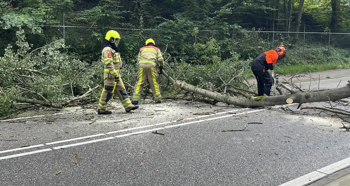 Omgevallen boom blokkeert de weg