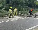 Omgevallen boom blokkeert de weg