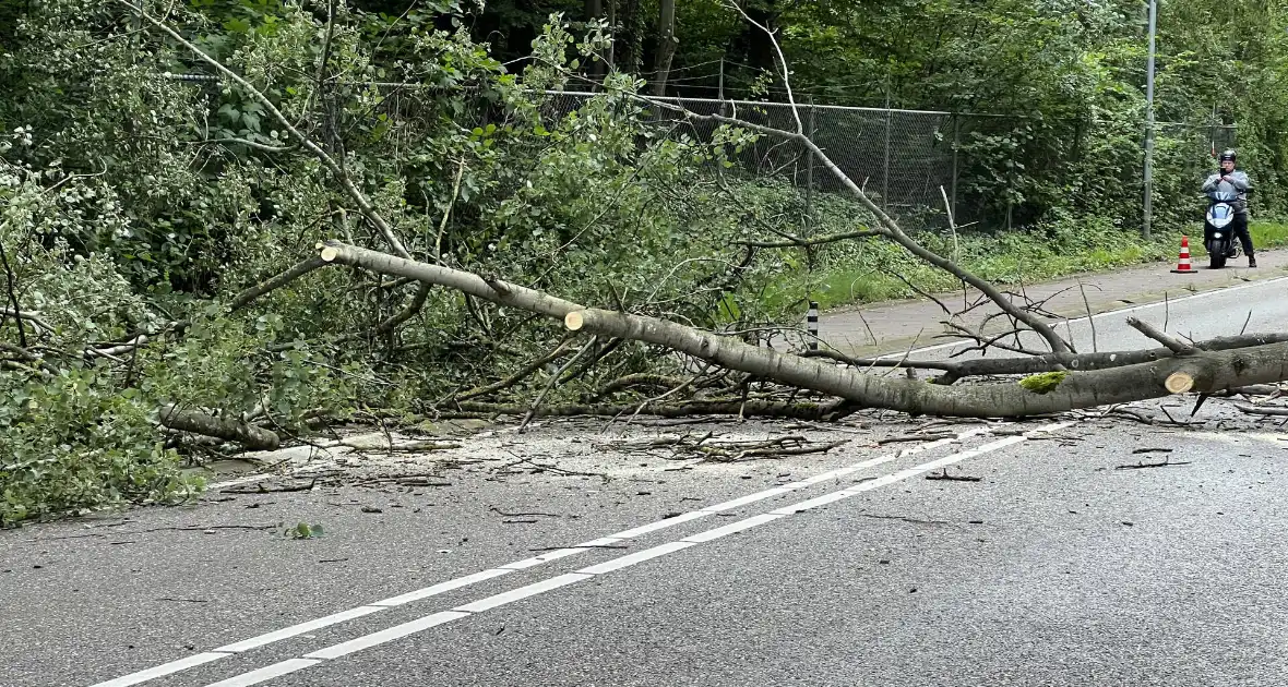 Omgevallen boom blokkeert de weg - Foto 1