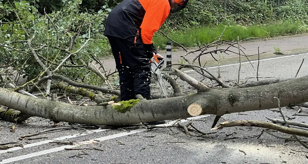 Omgevallen boom blokkeert de weg - Foto 3