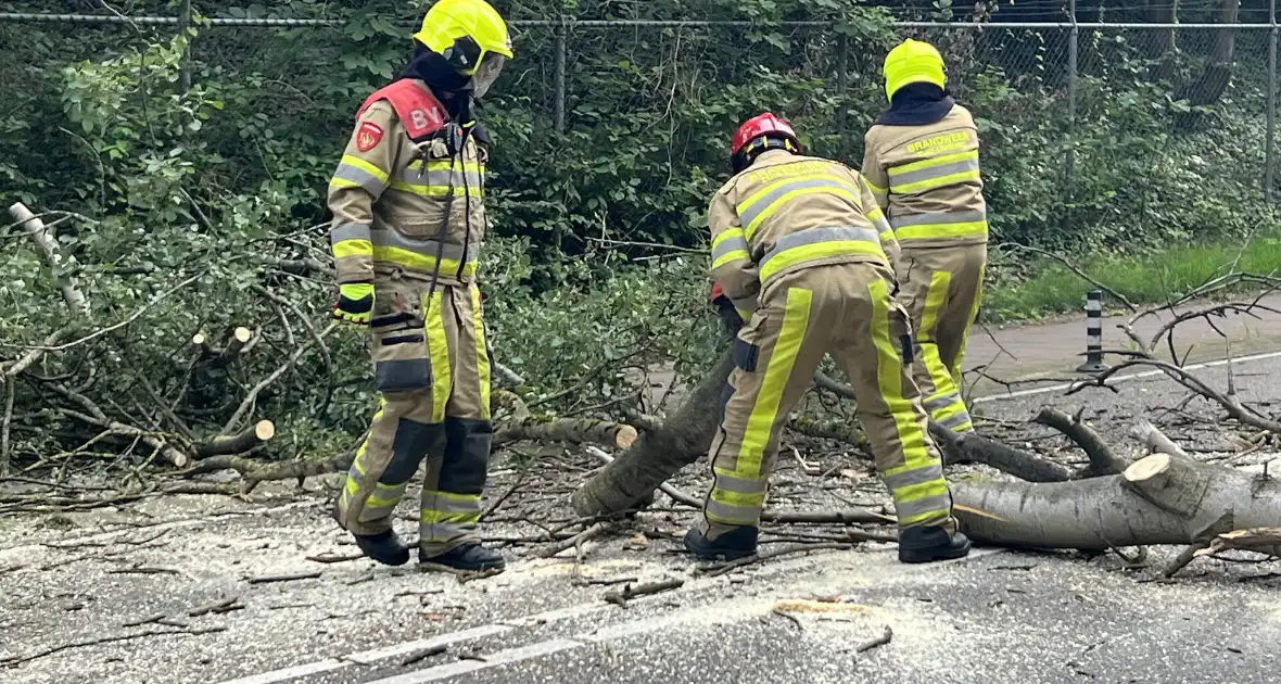 Omgevallen boom blokkeert de weg - Foto 4