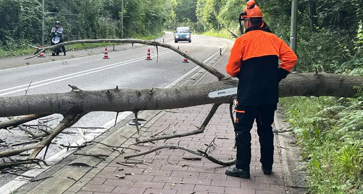Omgevallen boom blokkeert de weg - Foto 5