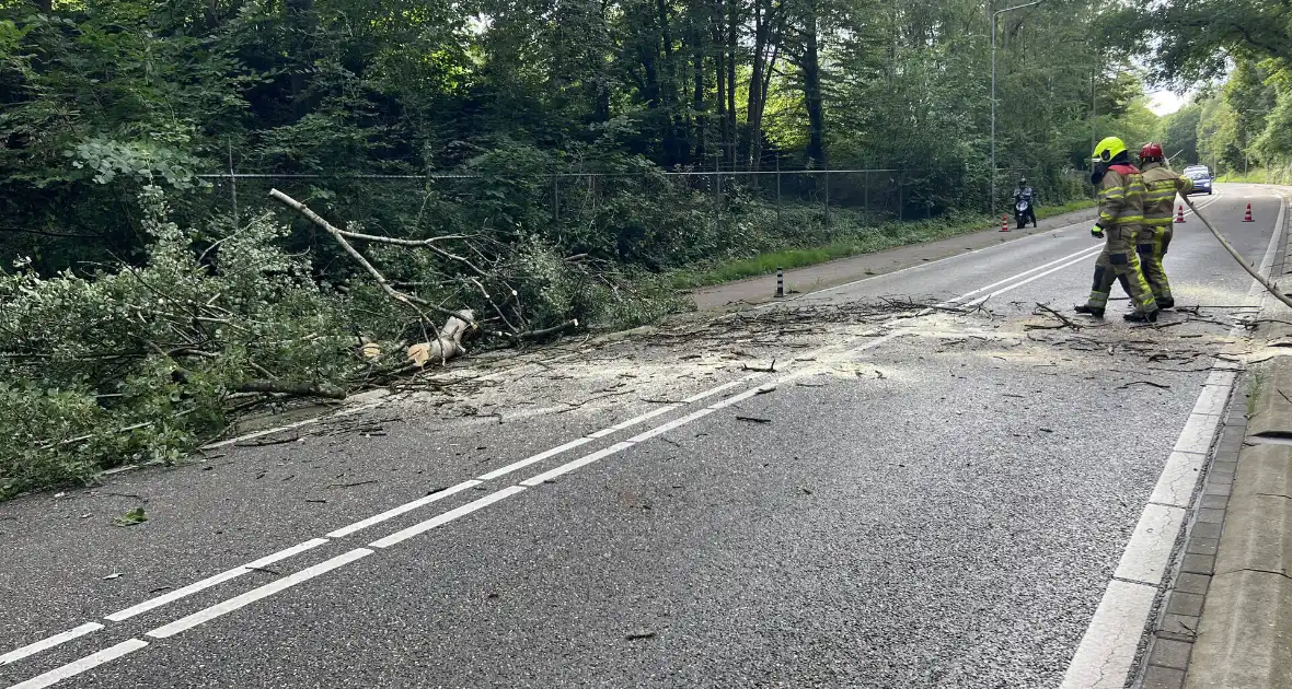 Omgevallen boom blokkeert de weg - Foto 6